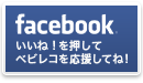 Facebook ページ